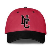 North Central (IN) HS Baseball (@nchsbaseball7) 's Twitter Profile Photo North Central (IN) HS Baseball (@nchsbaseball7) 's Twitter Profile Photo
