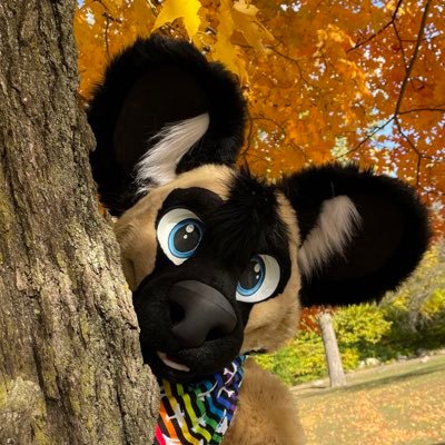 @AllWheelDog
