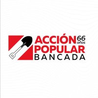 Bancada Acción Popular 🇵🇪(@ApBancada) 's Twitter Profileg