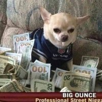 RawWave (@wave_raw) 's Twitter Profile