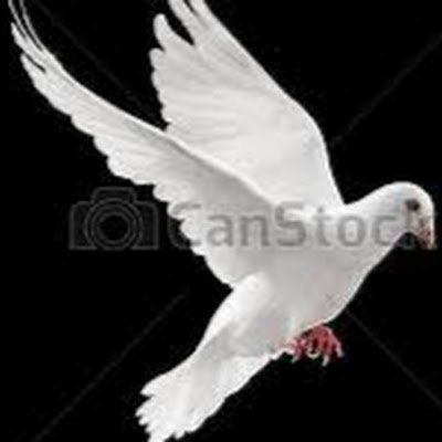 jankar_shanta's profile picture. 