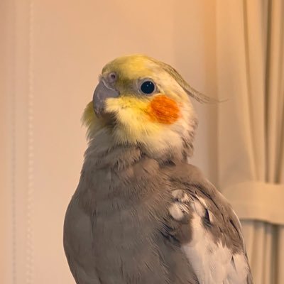 MEGUMI (@jisung_rin) / X