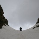 Tad Young - @tadjyoung - Twitter