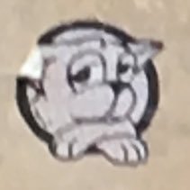 muttpetter's profile picture. East Coast/Big Boats