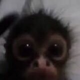 plugsy (@plugggg9) 's Twitter Profile