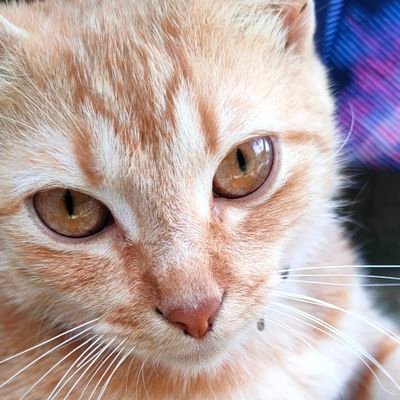 jcb2114_'s profile picture. 