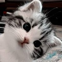 takuya (@takuya120388) 's Twitter Profile