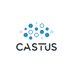 Castus Air Purifier (@castustec) Twitter profile photo