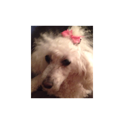 JennKeever7's profile picture. 