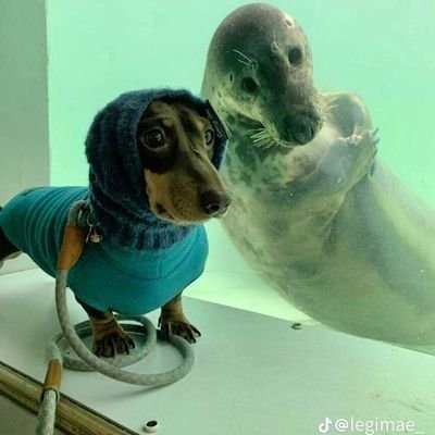 BesfordHugh's profile picture. 