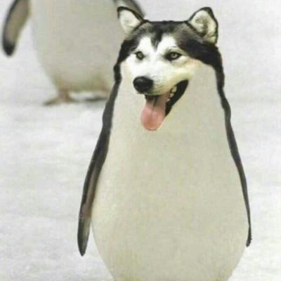 Leon95277's profile picture. Hear!