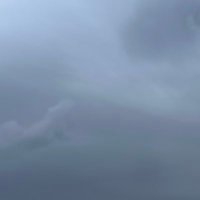 Jessica Seddon (@jscaseddon) 's Twitter Profile