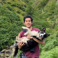 Alejandro Gutierrez (@apgutier) 's Twitter Profile