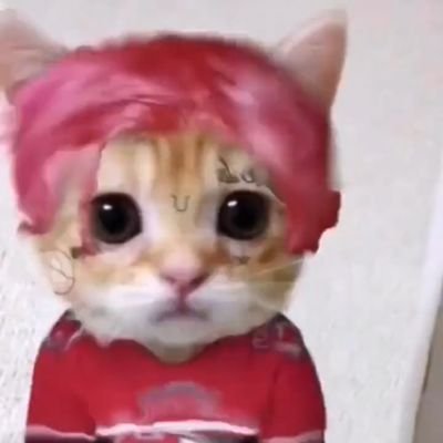 GGCMairi's profile picture. that ese put dust in my weed