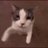 AleCleetus's profile image