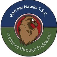 Harrow Hawks TSC | Subbuteo in London (@harrowsubbuteo) 's Twitter Profile Photo