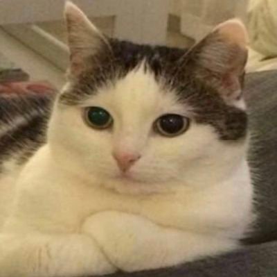 cfarrakis's profile picture. 