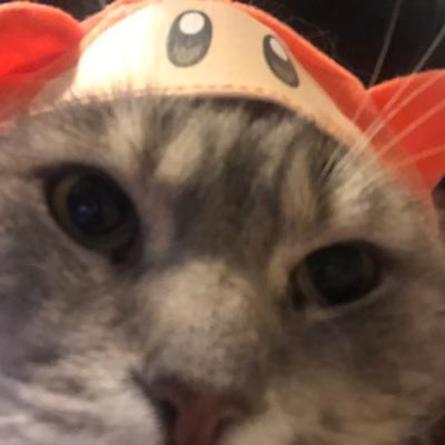 pydaroo's profile picture. gotta get oute .