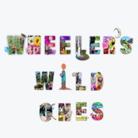 Wheeler’s Wild Ones(@wheelerswild1s) 's Twitter Profile Photo
