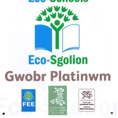 EcoCgi Profile Picture