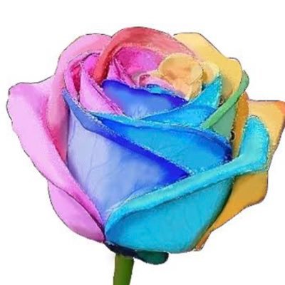 The Seventh Arrow #セブアロ vVestBluRo💙🌹 @westvvest24 @masaki_shiota17 @hasetomo_0723 @7th_SeaNa 🤗🍀笑顔の未来へGO〜