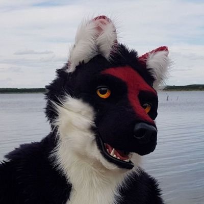 Fursuit᛬ Kuro / Made by: @sergnderg / curious wolf from Germany