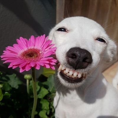 veeisstudying's profile picture. vestibulanda nos tempos livres || #studytwt