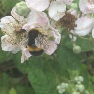 user7468329960's profile picture. 