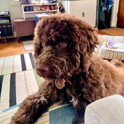 derf1134's profile picture. 