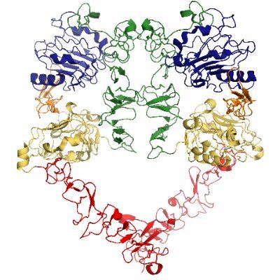 Starbird Lab Profile