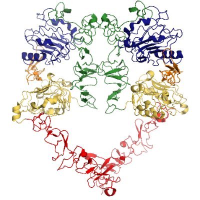 Structural Biology Lab @UNC_BCBP officially opening our doors in February 2023! Interests: TAM RTK activation mechanisms/roles in disease and equitable science!