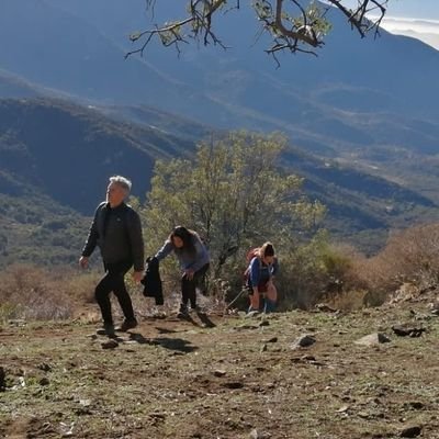 🌳Casi Runner, sociología urbana. Entre Pintana y Conce rural y el alma en el puerto de mis viejos. En Coordinadora Campo Vivo y Barrio amigo. UC💙