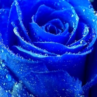 chacarla2's profile picture. . Canaria y Española. El problema está en no desesperarse.. TCAE, Enferma de Crohn y ahora ya ENFERMERA 💉💊Nunca es tarde ...✌🏼🇪🇸