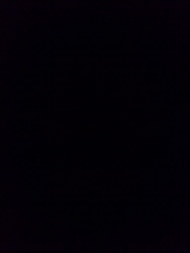 arienvos's profile picture. 