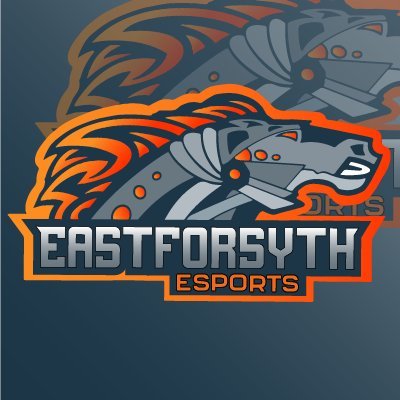 The official Twitter of EFHS Esports
#bebetter