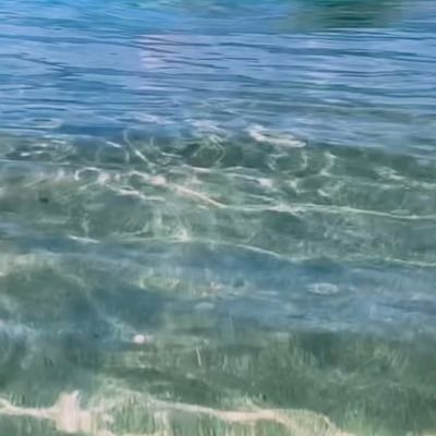 SimiStace's profile picture. 