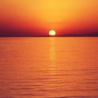Metin Erdoğan (@metiner25884208) 's Twitter Profile