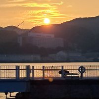 正栄 (@275ffe0e7ed047f) 's Twitter Profile