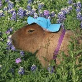 nnichelleeee's profile picture. ok he pull up @ZiyiZhang18