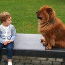 alfredo gutierrez - @fredogudi - Twitter