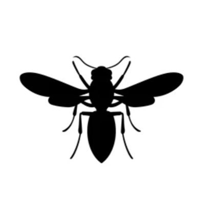Black Wasp Media