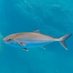 fish (@martinezpescado) Twitter profile photo fish (@martinezpescado) Twitter profile photo