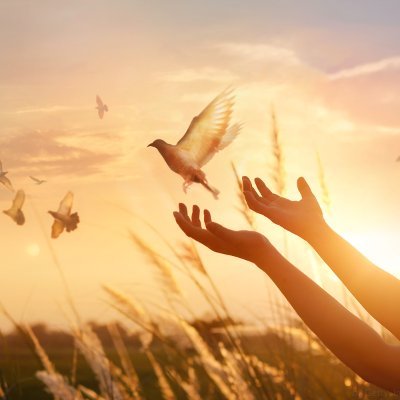 PaulinhoNeto5's profile picture. Cyber Security | Pentest | Offensive Cybersecurity