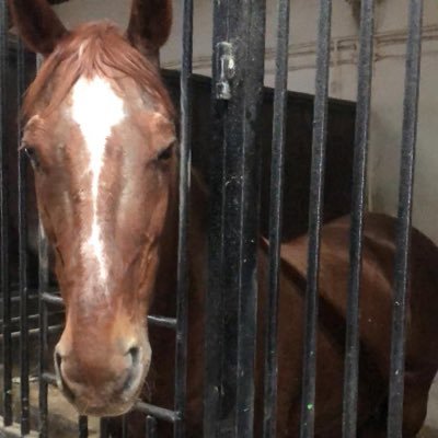 hsnylmz198810's profile picture. 🙋‍♂️