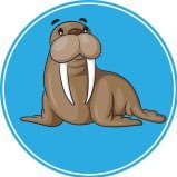 NateTheWalrus's profile picture. https://t.co/70AFaqaav3 

Just a WalrusMan writing posts for fun