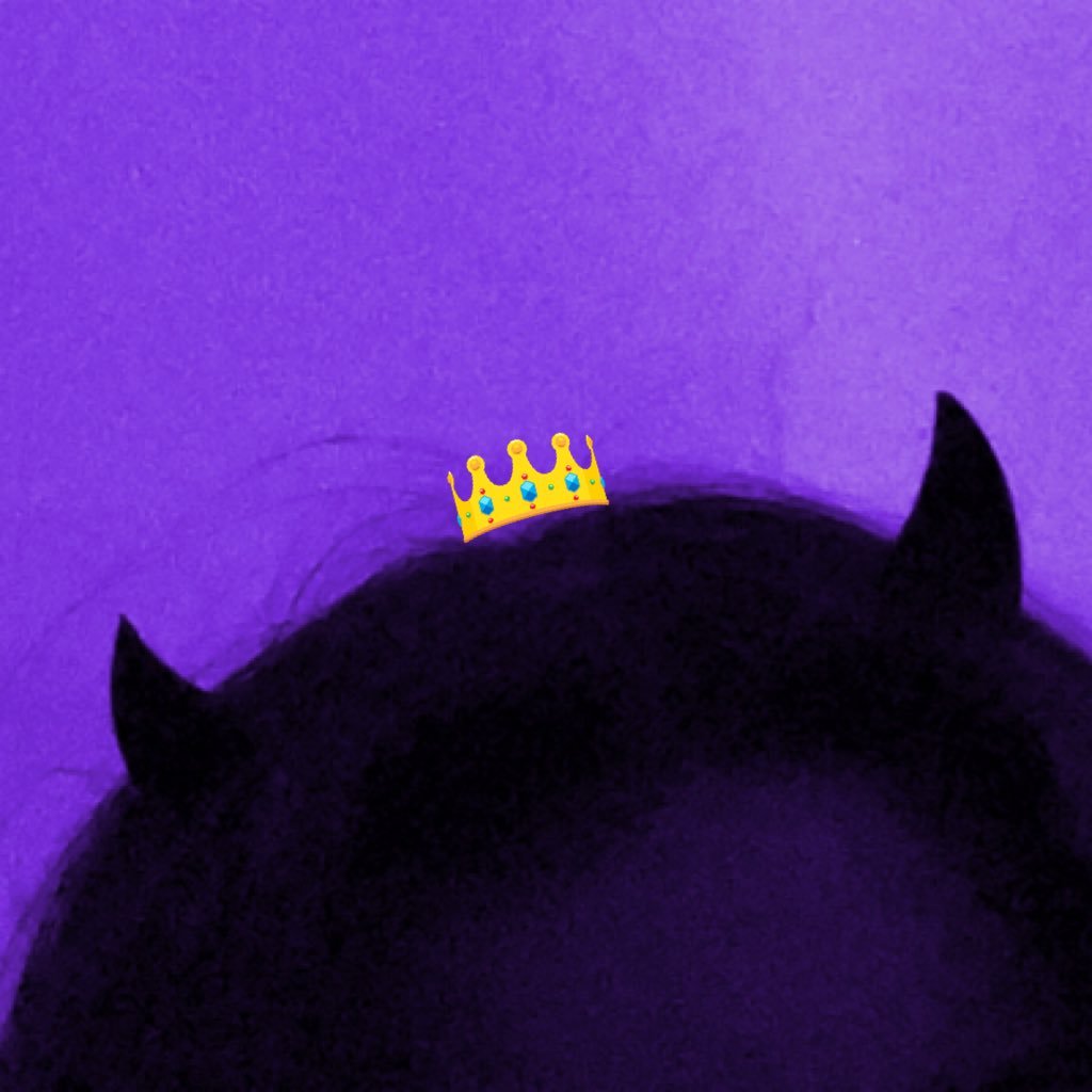 nylzia__'s profile picture. lover of fiction, hater of bugs 🖤