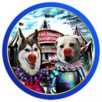 Paddlefoot & Malcolm (@bonehoffman) 's Twitter Profile