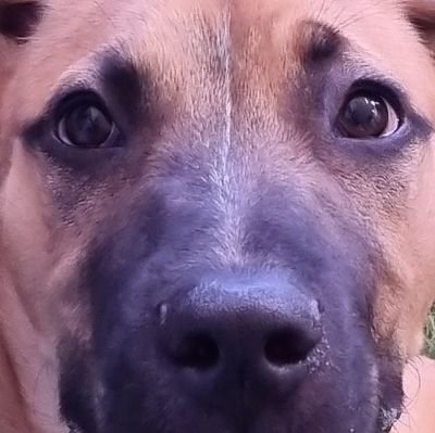 deegnさんのプロフィール画像