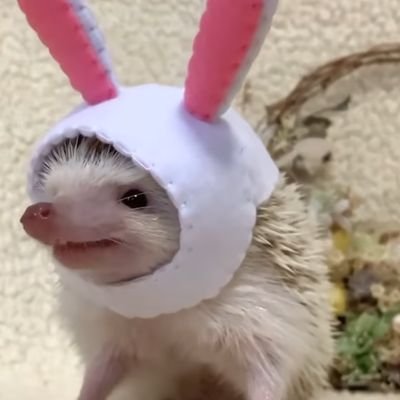 Mica_Pedrozo's profile picture. 