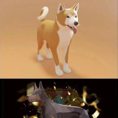 ciynzhnn4's profile picture. 